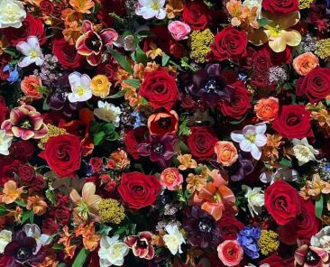 The Archivist flowers