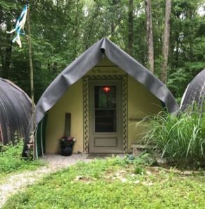 Wild Grace Forest Dwelling Airbnb