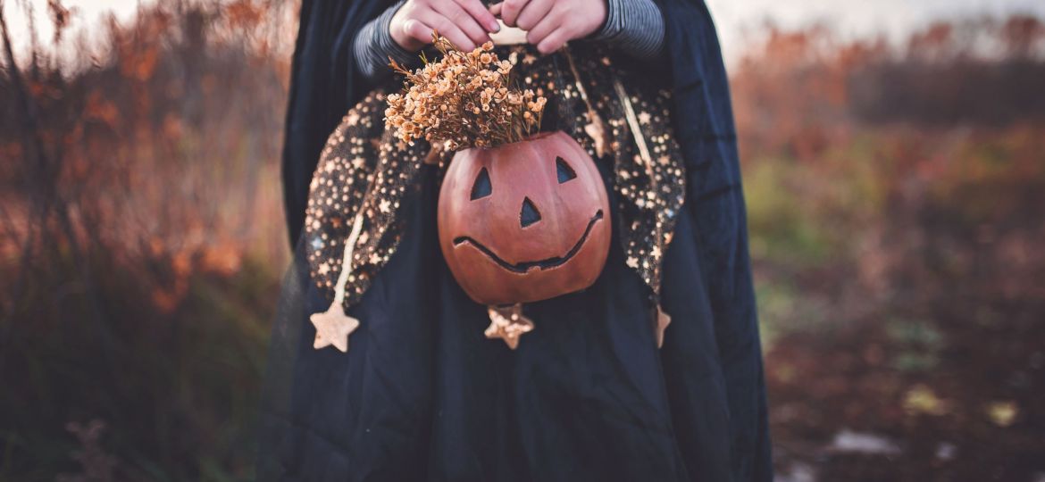 Hands holding pumpkin_indy Maven