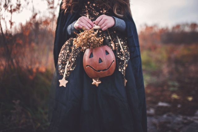 Hands holding pumpkin_indy Maven