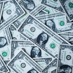 Pile of dollar bills