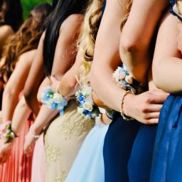 The photo depicts a group of girls posing for a photo in prom dresses.