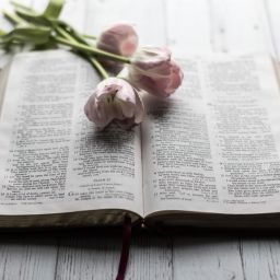 Bible with pink flowers laying on top