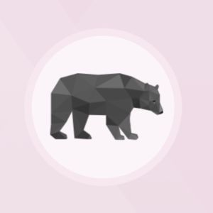 This is a photo of a bear
