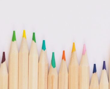 A photo of colored pencils against a white background