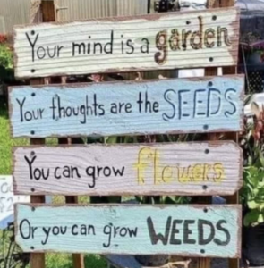 A Felege Hiywot Center photo of four different signs that read different phrases about gardens and plants