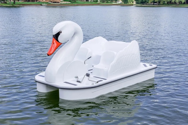 A swan shaped paddle boar