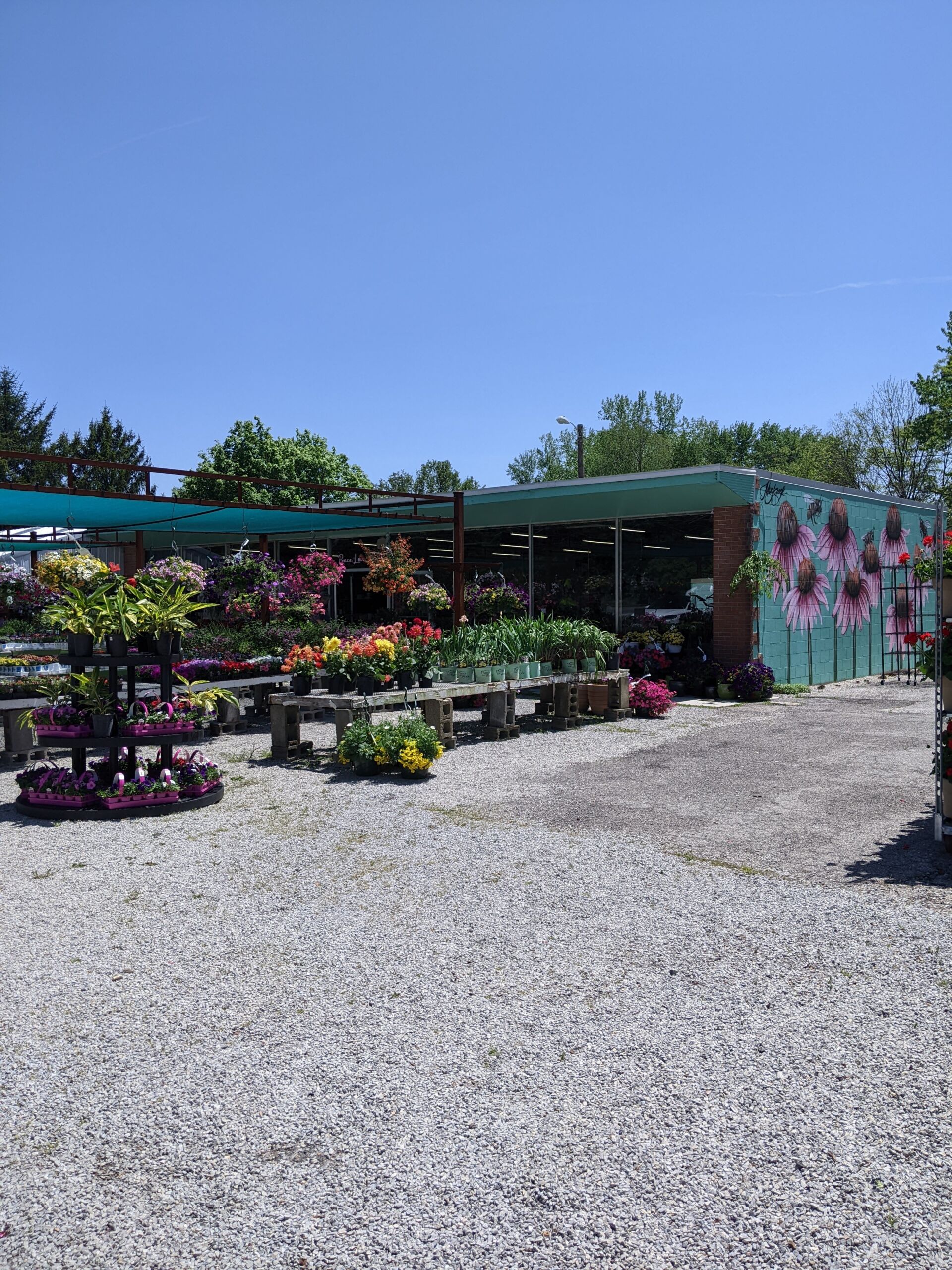 Outside of Alice's Garden.