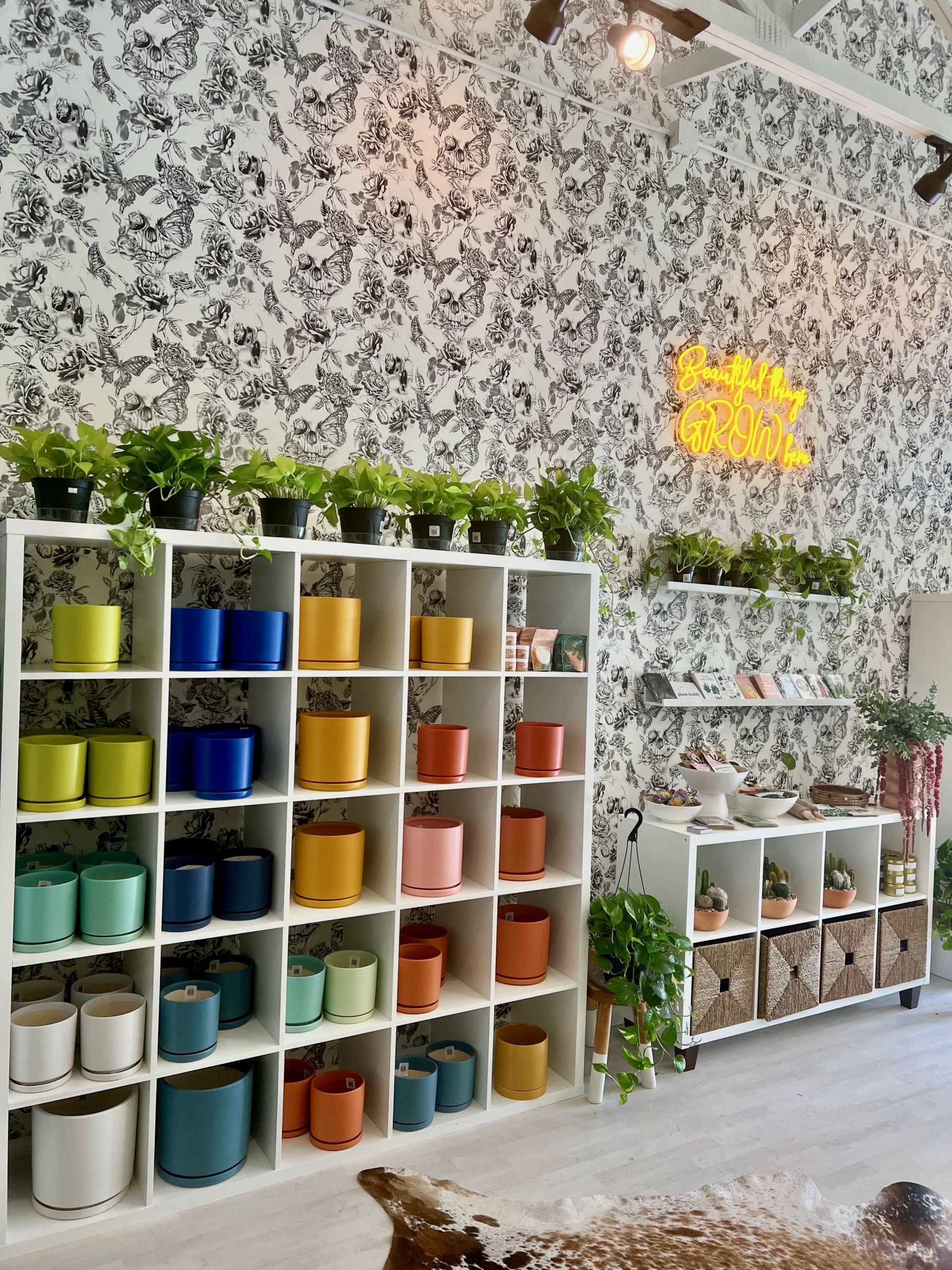 a photo of multi-colored plant pots in the botanical bar plant store