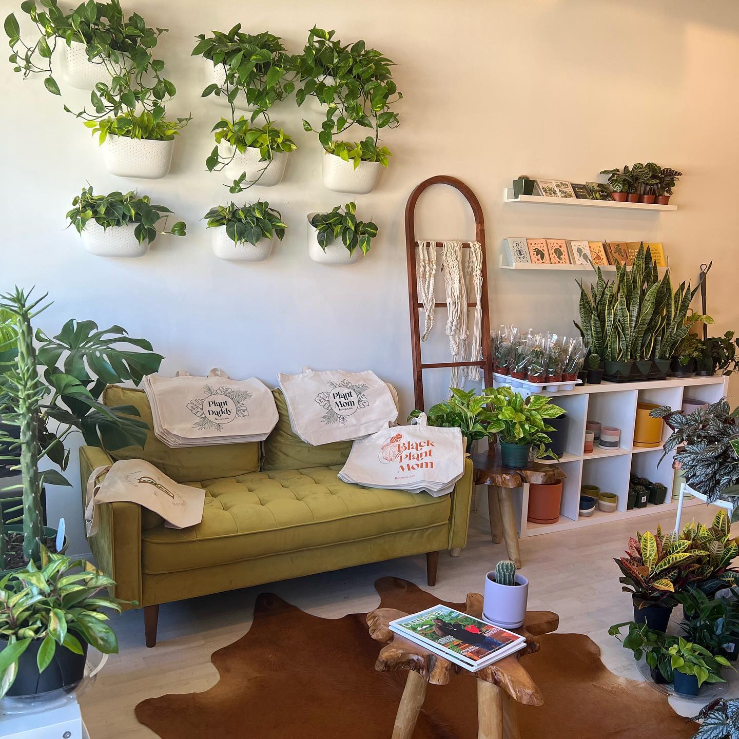a photo of a green couch and plants in the botanical bar plant store