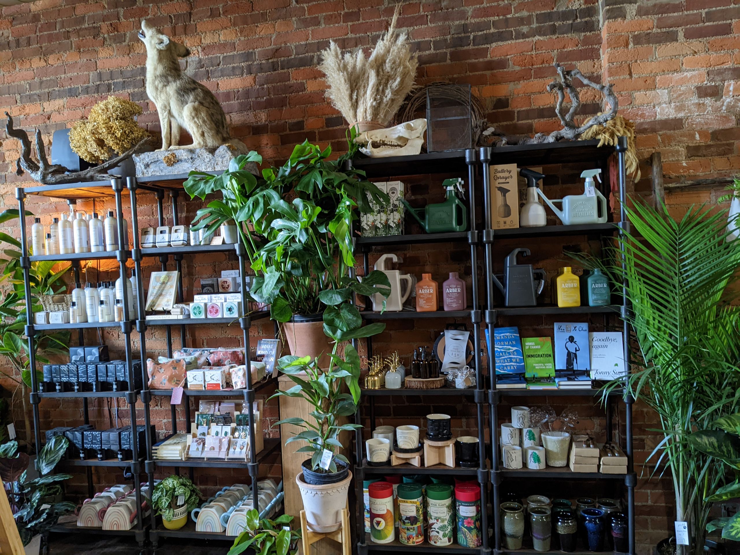 The interior of Grounded Plant & Floral Plant Store