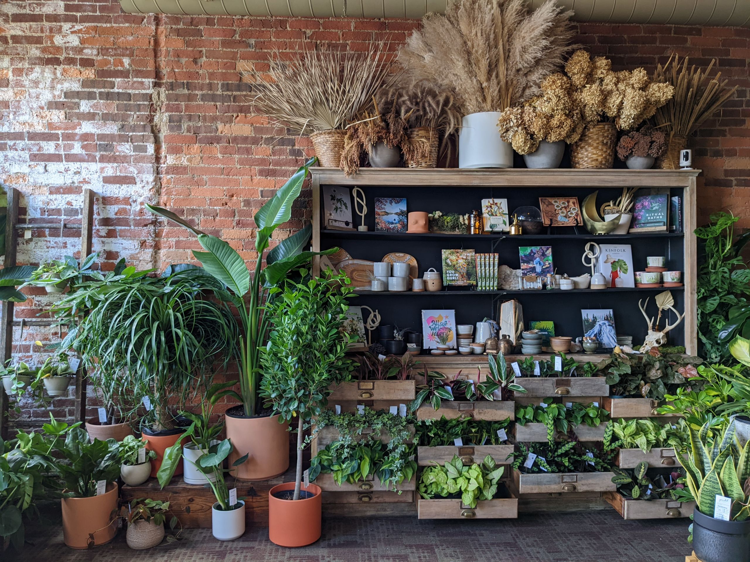 The interior of Grounded Plant & Floral Plant Store