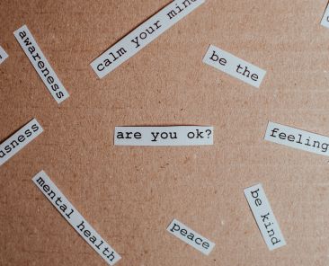 Featured Image Rising Collective