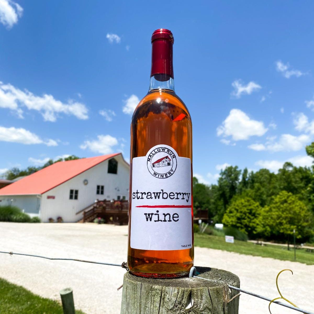 Mallow Run Strawberry Wine Mallow Run Strawberry Wine on a fence post with blue sky and barn in background