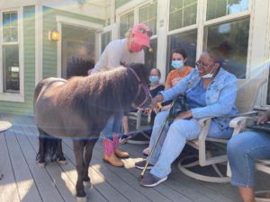a photo of clients from Joy's House interacting with a pony