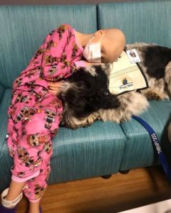 a photo of a child cancer patient and a Paws & Think Therapy Dog