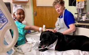 A therapy dog visiting a patient in the hospital