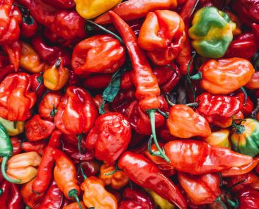Variety of hot peppers