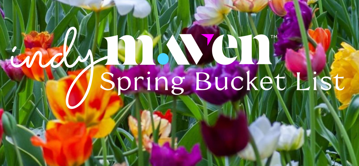 Picture of multi-colored flowers in a field