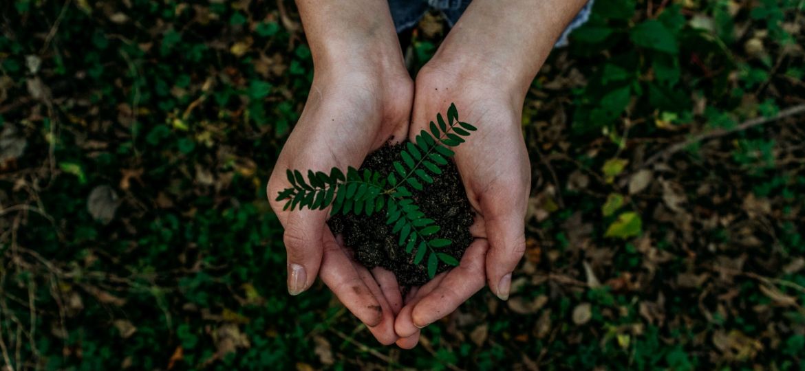 A hand cupping dirt