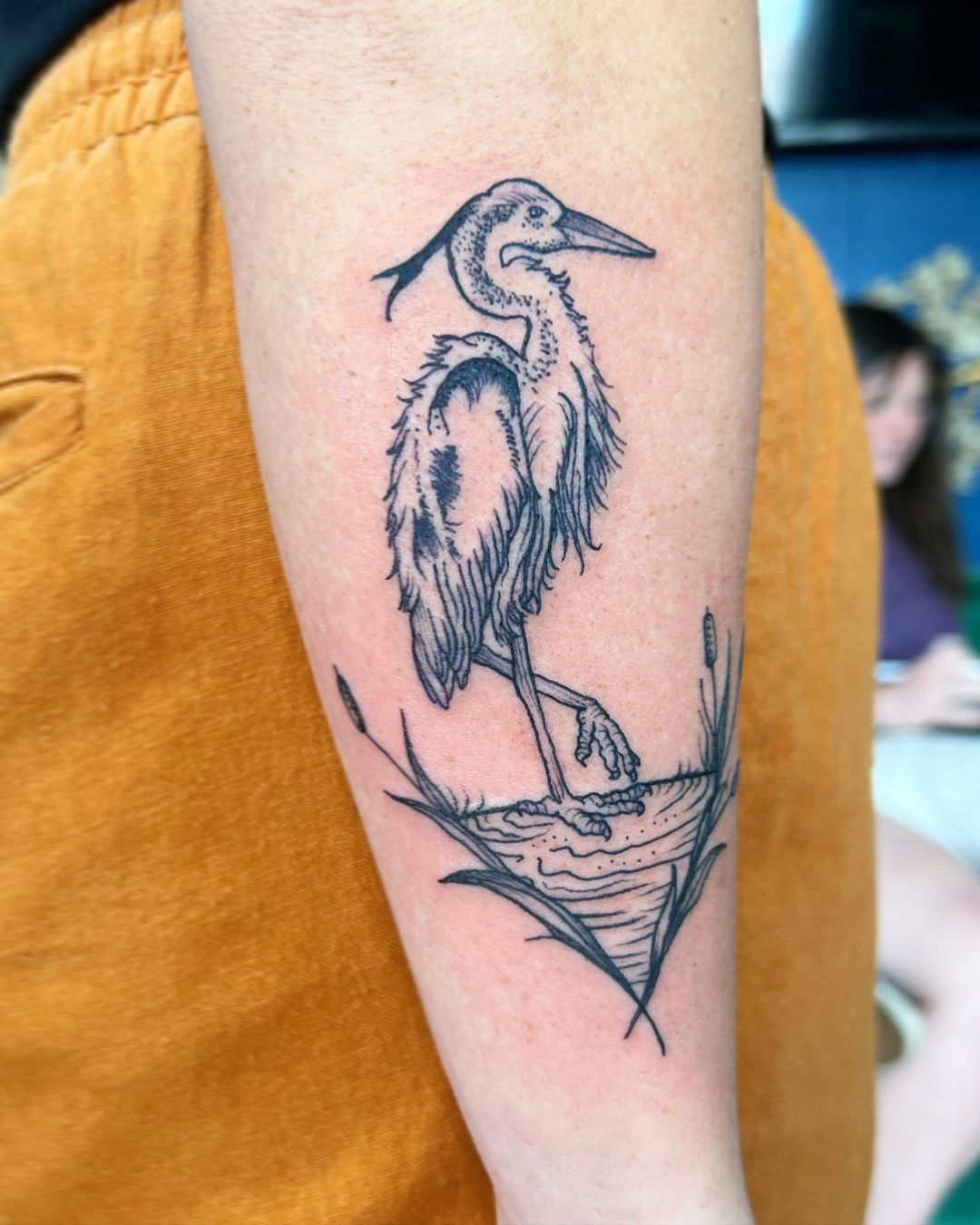 arm tattoo of a pelicumn