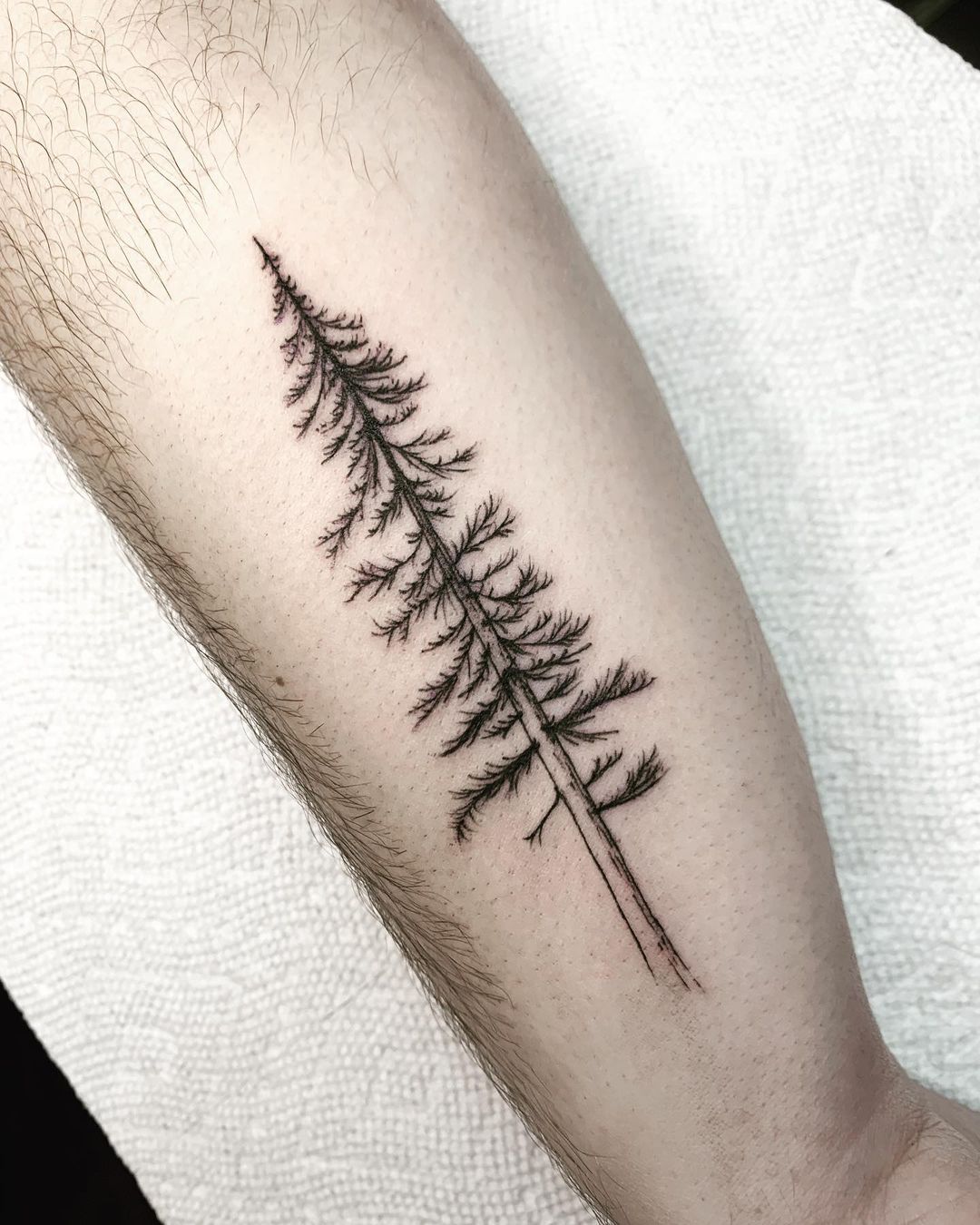 Tree tattoo by Lexie Hall