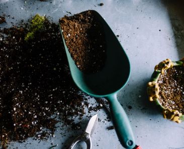 Gardening scoop filled with dirt laying next to a pile of dirt