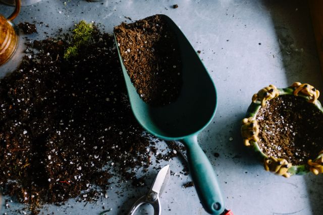 Gardening scoop filled with dirt laying next to a pile of dirt
