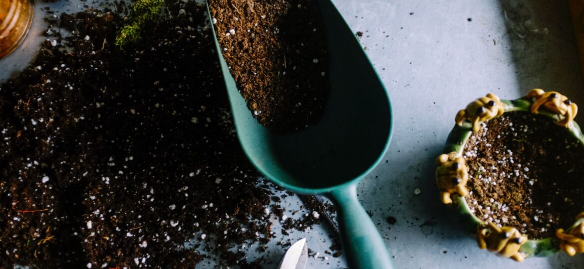 Gardening scoop filled with dirt laying next to a pile of dirt