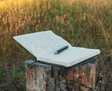 Open notebook resting on a wooden log in an open field
