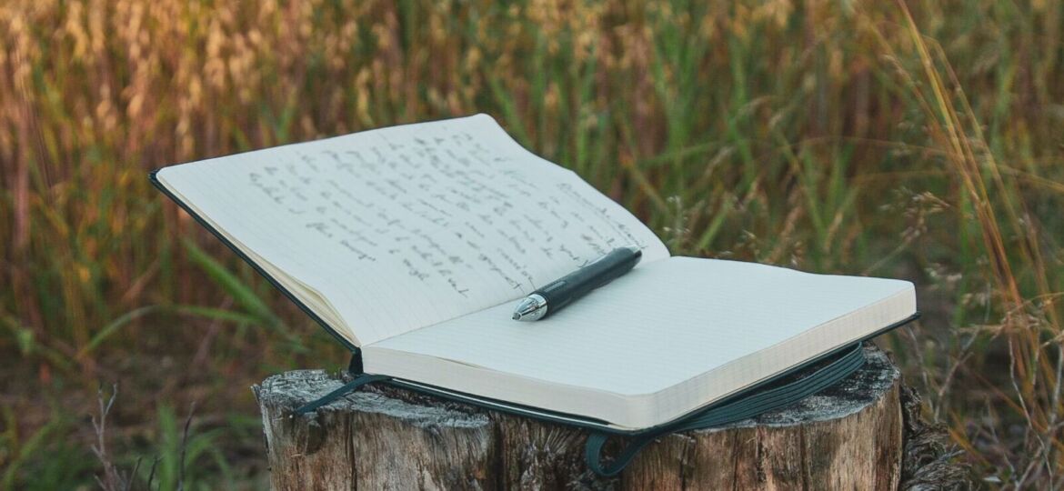 Open notebook resting on a wooden log in an open field