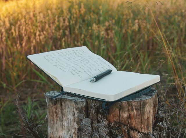Open notebook resting on a wooden log in an open field