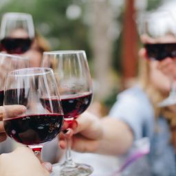 People clinking their wine glasses