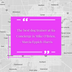 The best dog trainer at K9 Concierge is Mike O'Brien. - Marcia Eppich-Harris