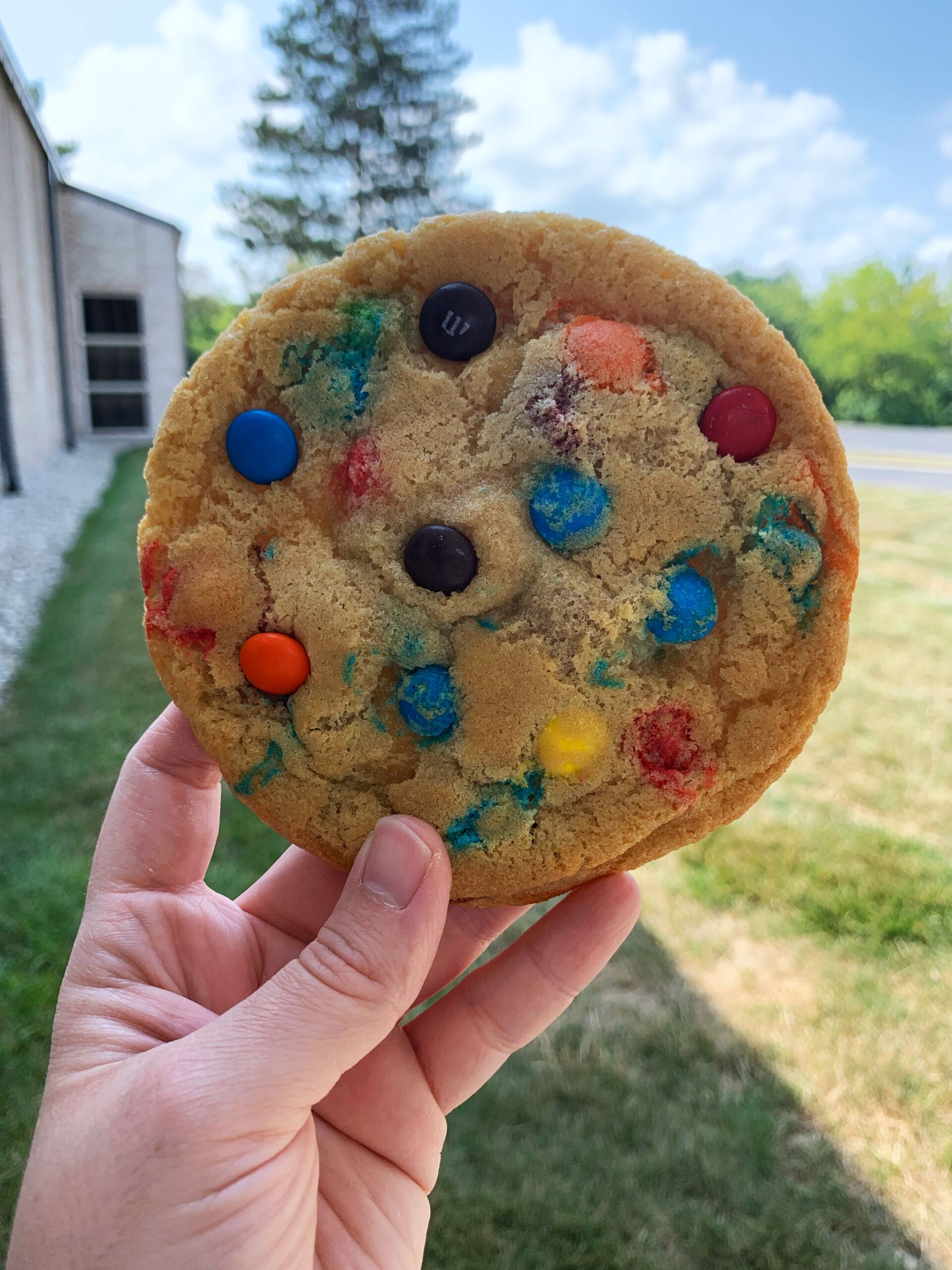 M and M cookie in hand