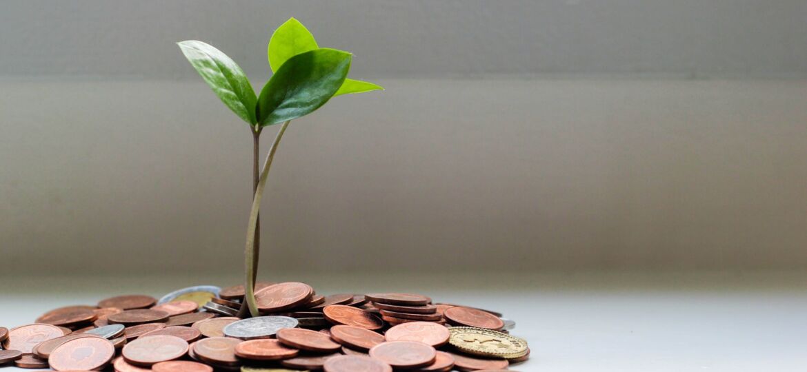 Small plant coming out of a pile of pennies