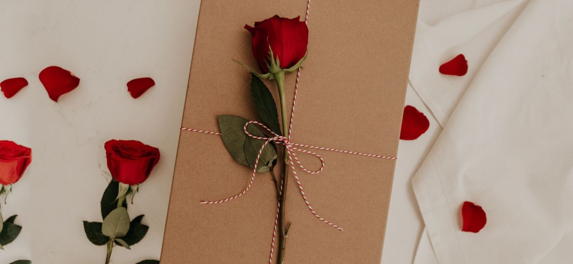 becca-tapert-8qxdUJf346A-unsplash