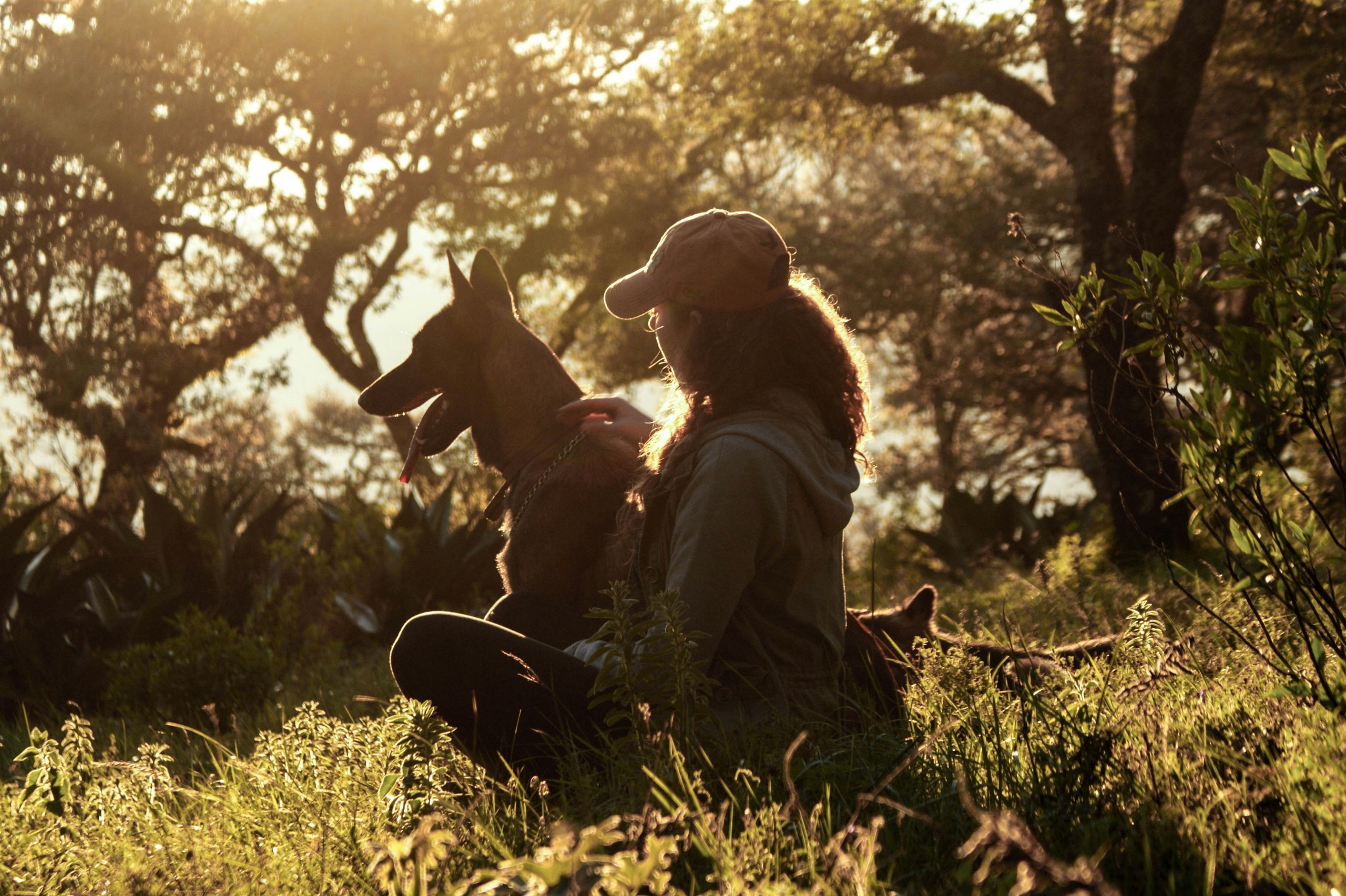Freedom K9 Project Matches Dogs with Sexual Abuse Survivors