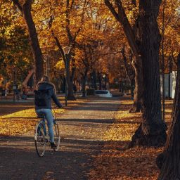 woman riding a bike through a fall landscape