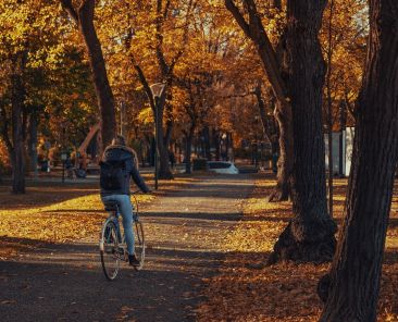 woman riding a bike through a fall landscape