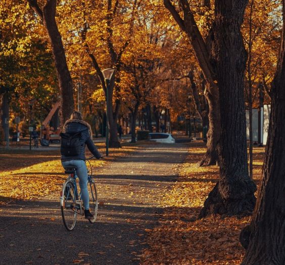 woman riding a bike through a fall landscape