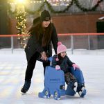 Elevance Health Rink_599
