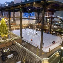 Elevance Health Rink