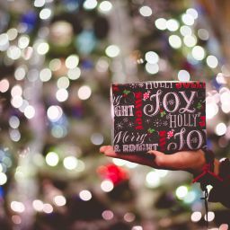 Someone holding a small present in front of a lit up tree.