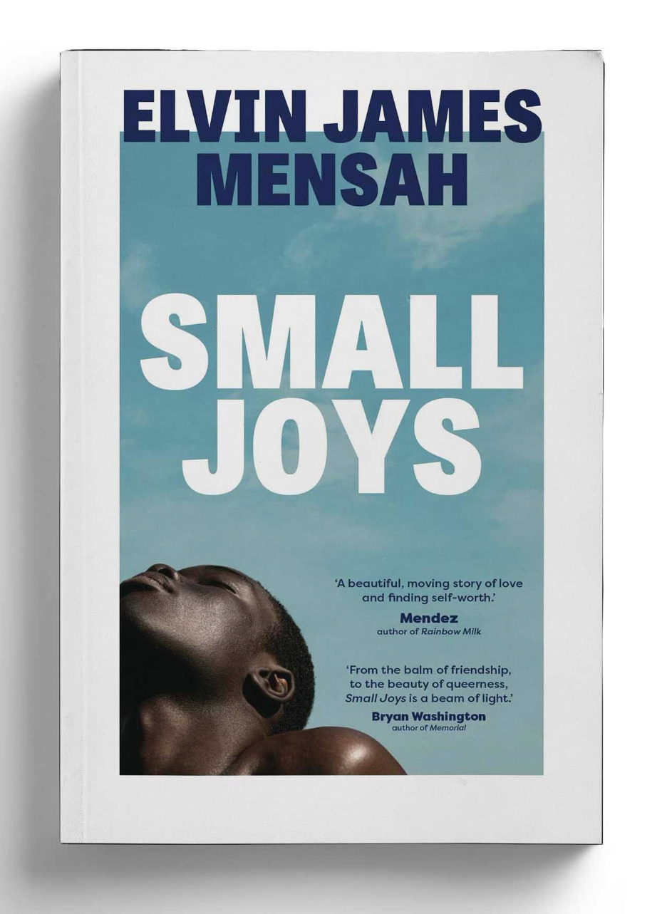 Copy of Small Joys Small Joys