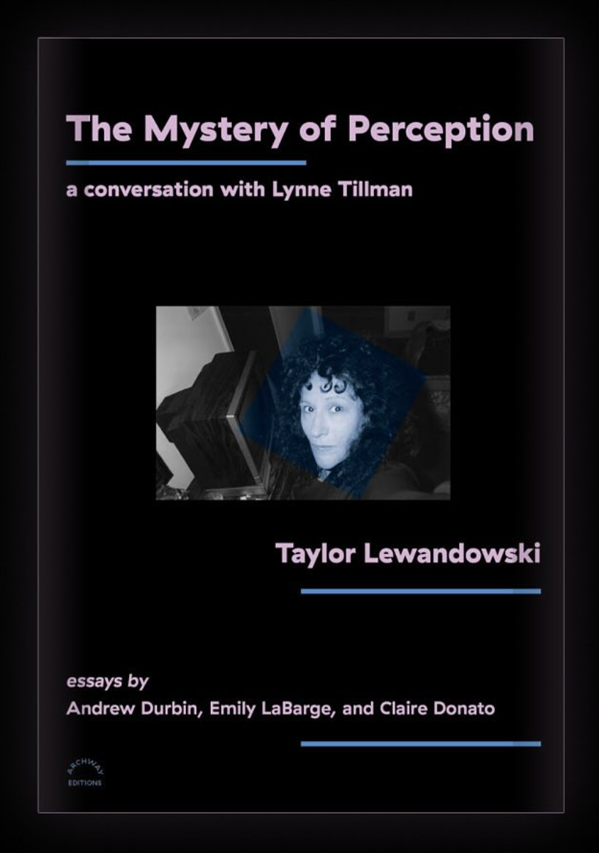 Copy of The Mystery of Perception