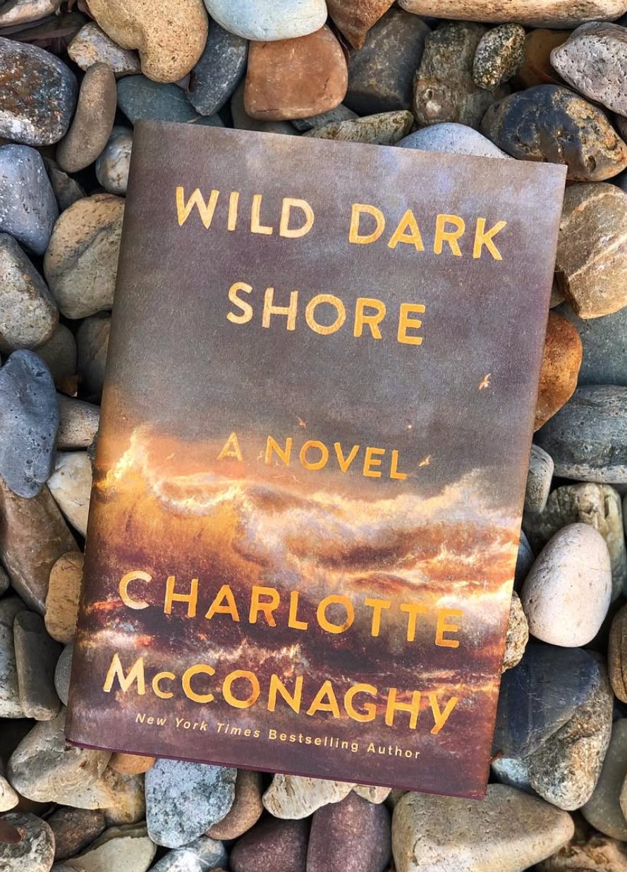 Copy of Wild Horse Dark Shore Wild Dark Shore Book Cover