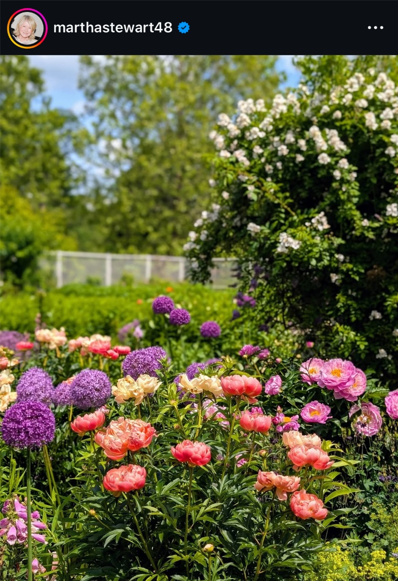 Martha Stewart - Gardening Instagram Post