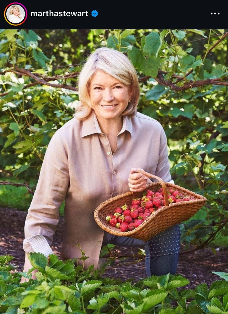 Martha Stewart - Strawberry Picking Instagram Post