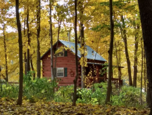 Tiny Cabin in La Porte